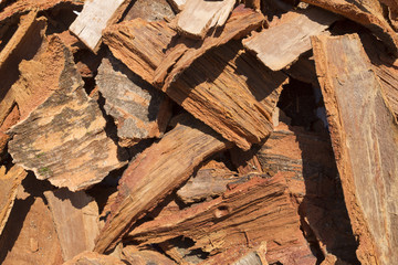 pile of cinnamon bark dried in the sun, aromatic spice made from rolled bark of a Southeast Asian tree