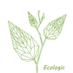 Pianta verde, foglia verdi geometriche astratte, arte lineare di poligoni sullo sfondo bianco, illustrazione vettoriale