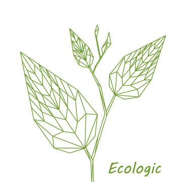 Pianta verde, foglia verdi geometriche astratte, arte lineare di poligoni sullo sfondo bianco, illustrazione vettoriale