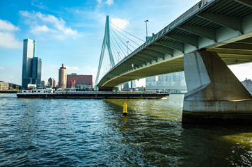 Fototapeta premium Erasmus Bridge.Erasmusbrug in Rotterdam, Netherlands