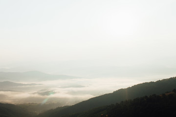ukrainian carpathian mountains. Beautiful mountain landscape.
