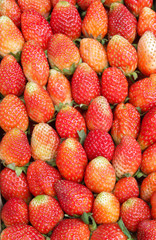 Strawberry red berry fruit are placed background
