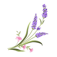Naklejka premium Bunch of lavender flowers on a white background.Botanical illustration. Vintage style. Making gifts of paper and textiles. Vector illustration.