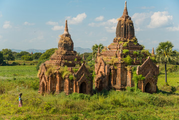 The scenery view of old temple in Bagan archaeology site with local people walk in agriculture field.
