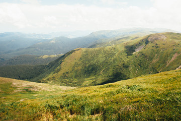 ukrainian carpathian mountains. Beautiful mountain landscape.