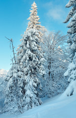 Winter Ukrainian Carpathian Mountains landscape.