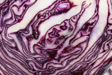 Obraz premium Ripe red cabbage background, close up