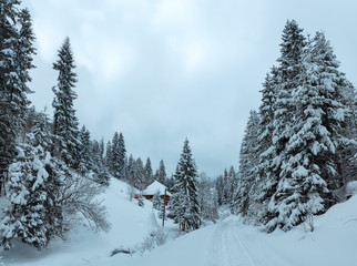 Winter Ukrainian Carpathian Mountains landscape.