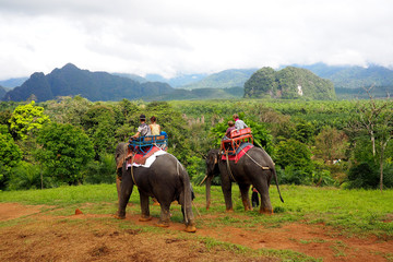 Obraz premium riding elephants in thailand