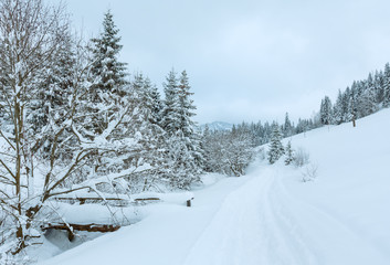 Obraz premium Winter Ukrainian Carpathian Mountains landscape.