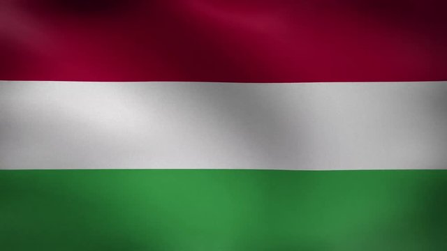 Close-up flag of Hungary ripples in a breeze. Hungary Flag waving in slow motion with highly detailed fabric texture loop,Creased textured Hungary flag in slow motion with visible wrinkles and seams