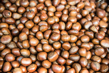 Chestnut harvest, spread out to dry