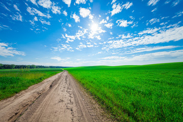 Green Field and Beautiful Sunset