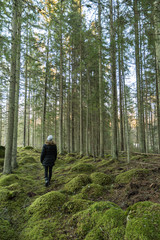 Obraz premium Walk in a mossy forest