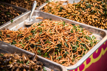 Thailand fried insects