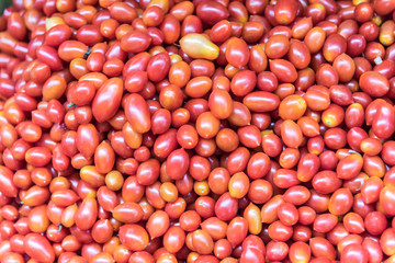 red tomatoes background. Group of tomatoes