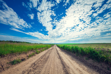 Green Field and Beautiful Sunset