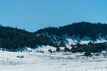 snow hills 