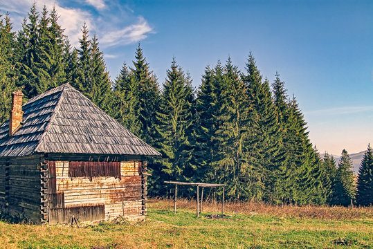 Old log cottage in the mountains - Cindrel mountains, Oncesti garden, Sibiu county, Romania, 1500m 