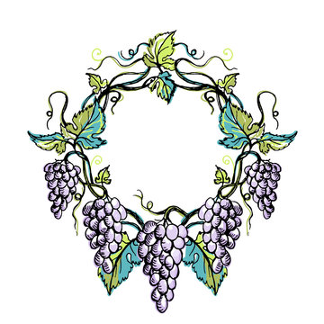 Watercolor wreath from grape and leaves in graphic style hand-drawn vector illustration.