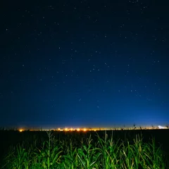  Blauwe nachtsterrenhemel boven groen korenveld en gele stadslichten © Grigory Bruev