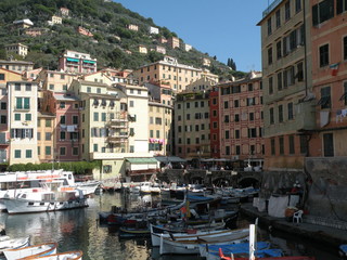 Camogli - il porto