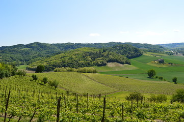 Vigneti