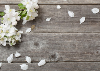 Flowers of apple on a wooden background