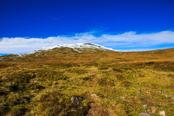 Great landscape with fall colors and new snow on the mountain tops, in western Norway