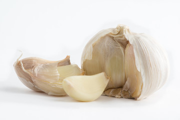 Garlic
