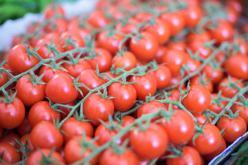 Branch of Cherry tomatoes