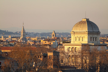 Fototapeta na wymiar View of Rome roofs: jewish synagogue, Spire of Saint Ivo alla Sa