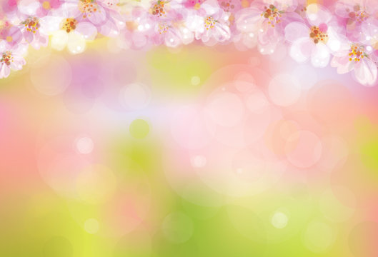 Vector blossoming sakura tree  on bokeh pink background.