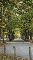 Fototapeta na wymiar An empty road in early autumn season