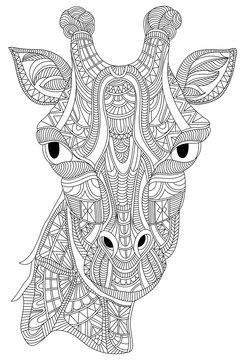Giraffe portrait vector graphic illustration