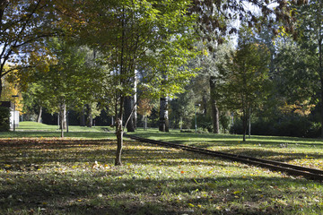 Schienen führen durch die herbstliche Umgebung