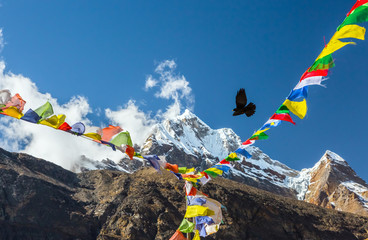 Bird flying in Sky between Nepalese prayer Flags in Himalaya
