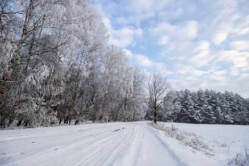 Fototapeta premium snowy winter