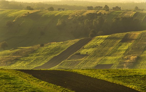 wypas kr&oacute;w