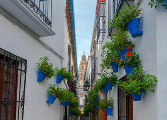 Traditional Spanish patio in Cordoba.