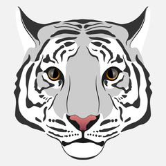 Light gray Tiger