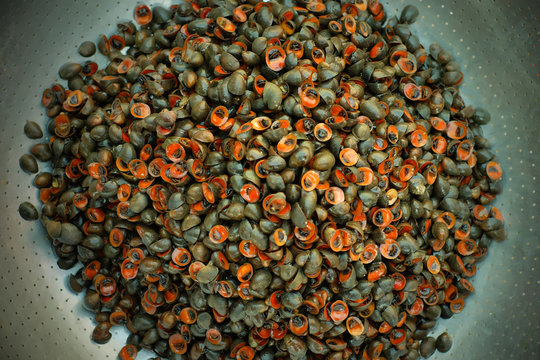 Traditional asian seafood food