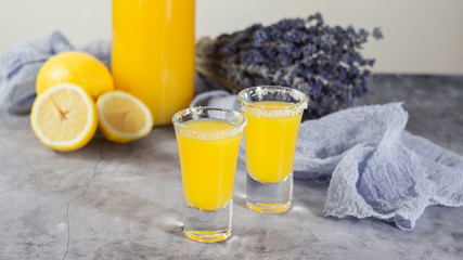 Lemon Shot Cocktail Glasses with Lemon Slices