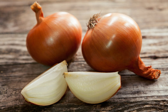 Cut fresh bulbs of onion