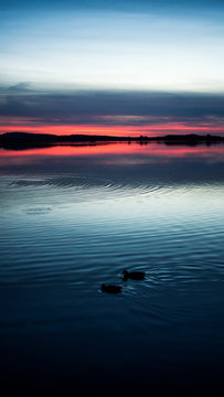 Sonnenuntergang mit Enten am See