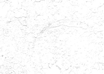 Wooden wall. Wood texture. Fiber and crack