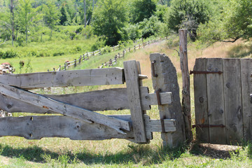 primitive wood plank gate against a lush green backdrop