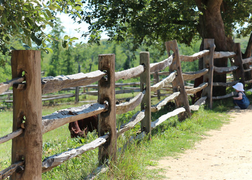 primitive split rail interlocking wood fence against lush greenery