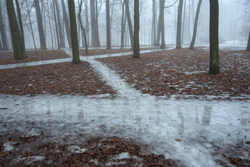 Intersecting ice track in winter park