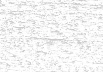 Wooden wall. Wood texture. Fiber and crack